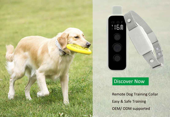 Remote Dog Training Collars IPX7