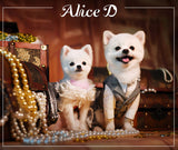 Korean Brand "Alice D" #313413 時尚可愛牛仔連衣裙