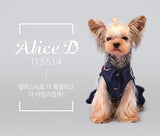 Korean Brand "Alice D" 牛仔連衣裙