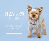 Korean Brand "Alice D" #111499 柔軟時尚棉質 Polo 衫