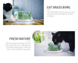 MOBOLI Cat Bowl, Cat love Wheatgrass