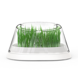 MOBOLI Cat Bowl, Cat love Wheatgrass